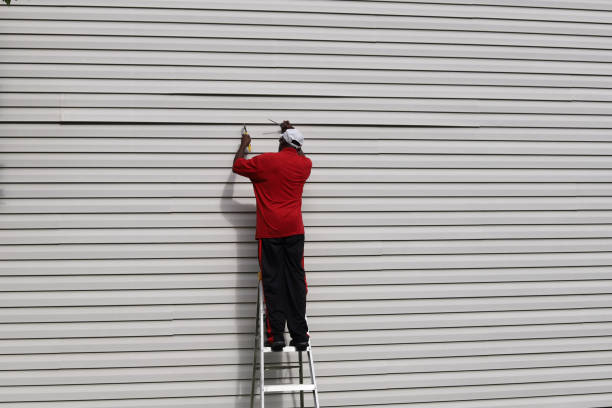 Best Brick Veneer Siding  in Buffalo Center, IA