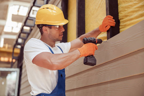 Best Custom Siding Design  in Buffalo Center, IA
