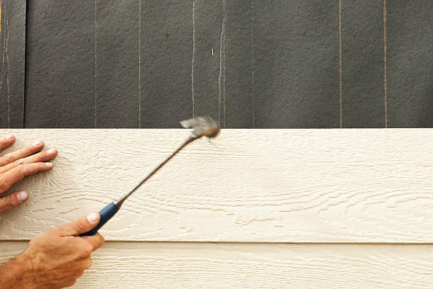 Best Siding for New Construction  in Buffalo Center, IA